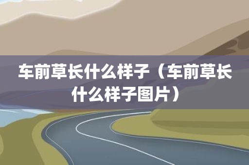 车前草长什么样子(车前草长什么样子图片)