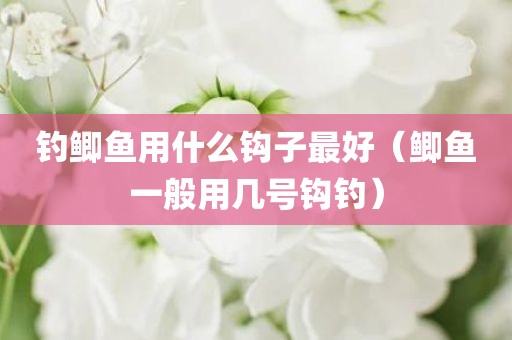 钓鲫鱼用什么钩子最好（鲫鱼一般用几号钩钓）