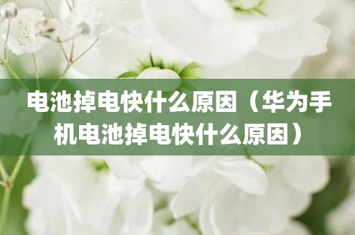 电池掉电快什么原因（华为手机电池掉电快什么原因）