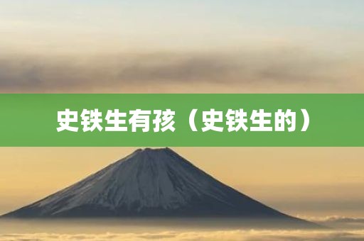 史铁生有孩（史铁生的）