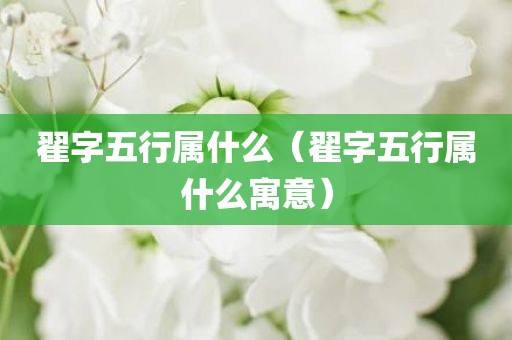 翟字五行属什么（翟字五行属什么寓意）