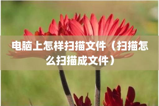 电脑上怎样扫描文件（扫描怎么扫描成文件）