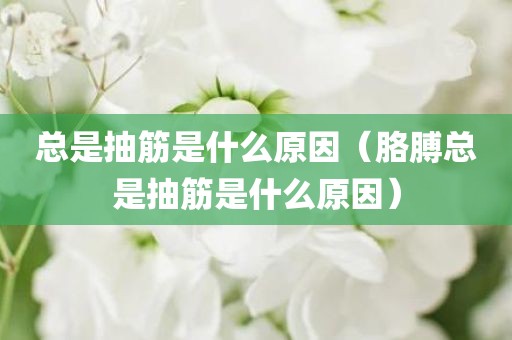 总是抽筋是什么原因（胳膊总是抽筋是什么原因）