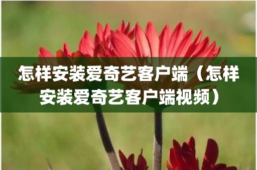 怎样安装爱奇艺客户端（怎样安装爱奇艺客户端视频）