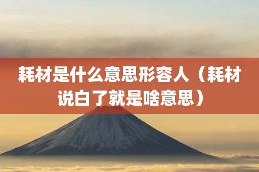 耗材是什么意思形容人（耗材说白了就是啥意思）
