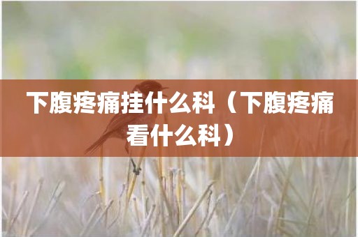 下腹疼痛挂什么科（下腹疼痛看什么科）