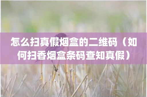 怎么扫真假烟盒的二维码（如何扫香烟盒条码查知真假）