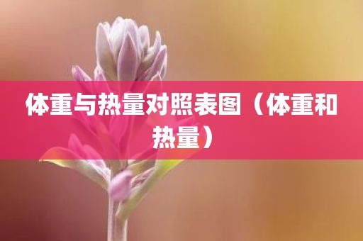 体重与热量对照表图（体重和热量）