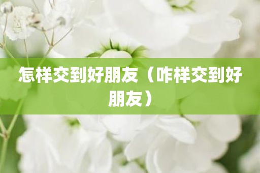 怎样交到好朋友（咋样交到好朋友）