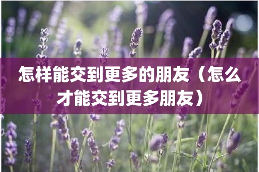 怎样能交到更多的朋友（怎么才能交到更多朋友）