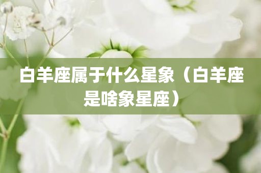 白羊座属于什么星象(白羊座是啥象星座) 白羊座属于什么星象(白羊座是啥象星座)