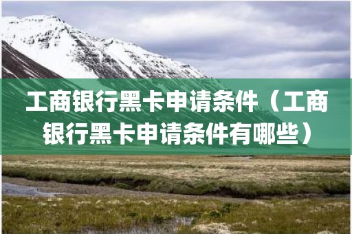 工商银行黑卡申请条件（工商银行黑卡申请条件有哪些）