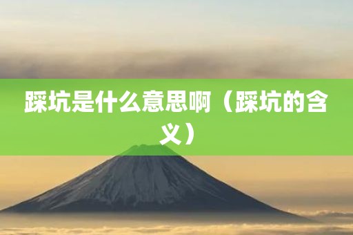 踩坑是什么意思啊（踩坑的含义）