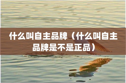 什么叫自主品牌（什么叫自主品牌是不是正品）
