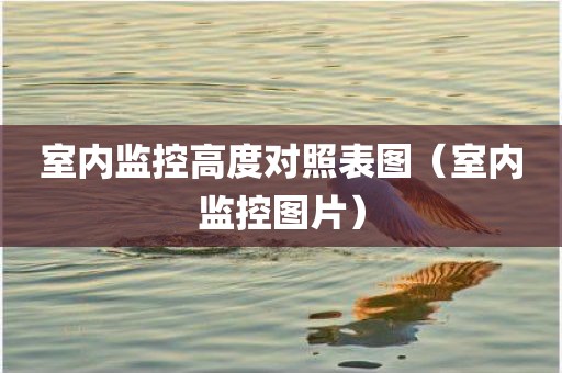 室内监控高度对照表图（室内监控图片）