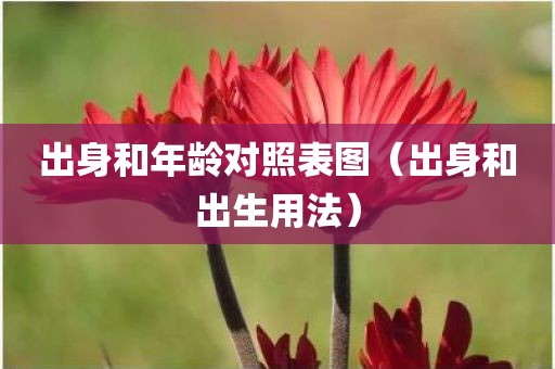 出身和年龄对照表图（出身和出生用法）