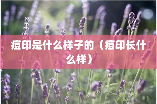 痘印是什么样子的（痘印长什么样）