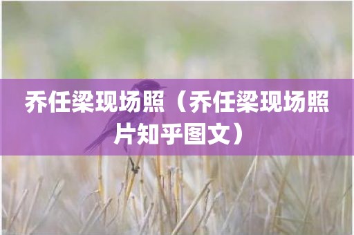 乔任梁现场照（乔任梁现场照片知乎图文）