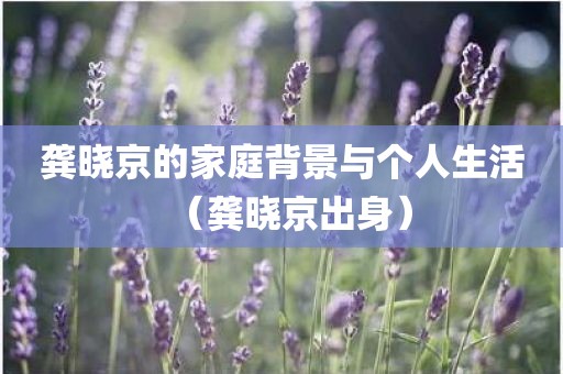 龚晓京的家庭背景与个人生活(龚晓京出身)