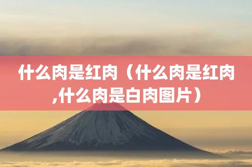 什么肉是红肉（什么肉是红肉,什么肉是白肉图片）