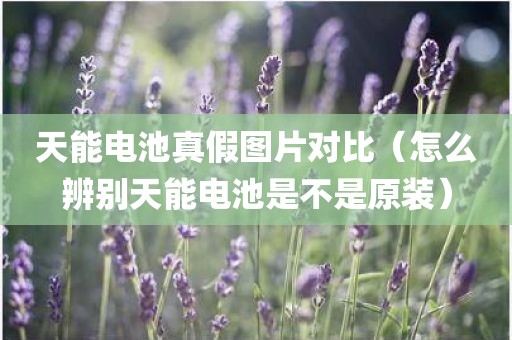 天能电池真假图片对比（怎么辨别天能电池是不是原装）