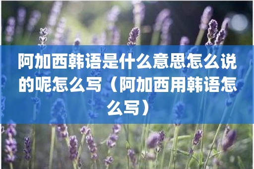 阿加西韩语是什么意思怎么说的呢怎么写（阿加西用韩语怎么写）