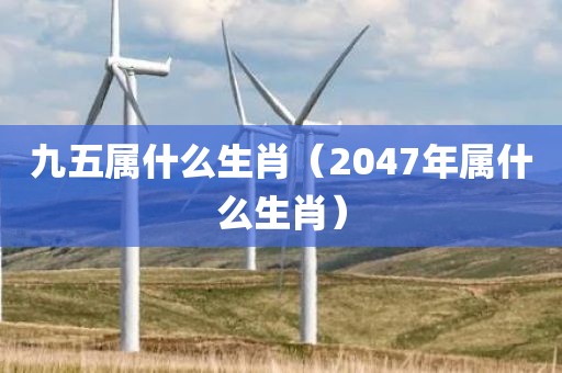 九五属什么生肖（2047年属什么生肖）