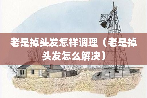 老是掉头发怎样调理（老是掉头发怎么解决）