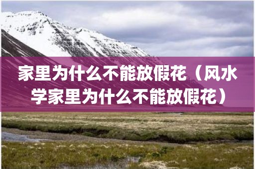 家里为什么不能放假花（风水学家里为什么不能放假花）