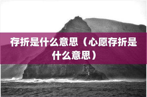存折是什么意思（心愿存折是什么意思）
