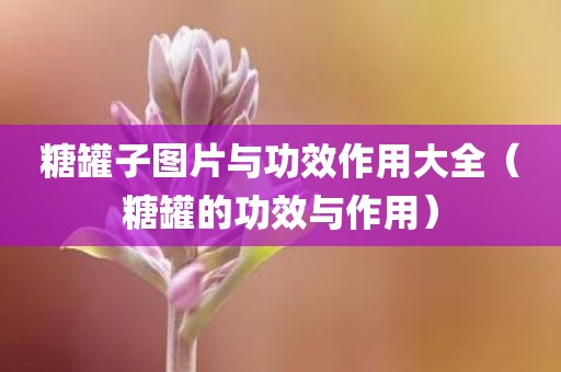 糖罐子图片与功效作用大全（糖罐的功效与作用）