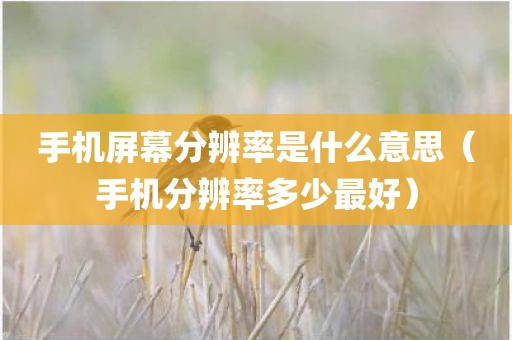 手机屏幕分辨率是什么意思(手机分辨率多少最好)