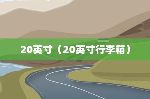 20英寸（20英寸行李箱）