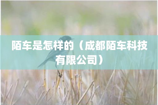陌车是怎样的（成都陌车科技有限公司）