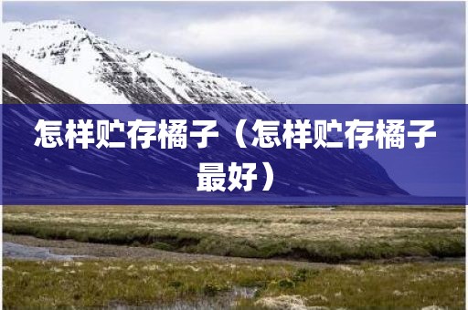 怎样贮存橘子（怎样贮存橘子最好）