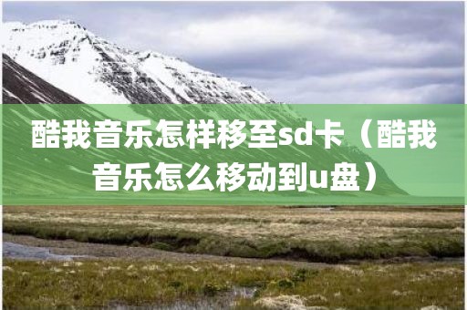 酷我音乐怎样移至sd卡（酷我音乐怎么移动到u盘）