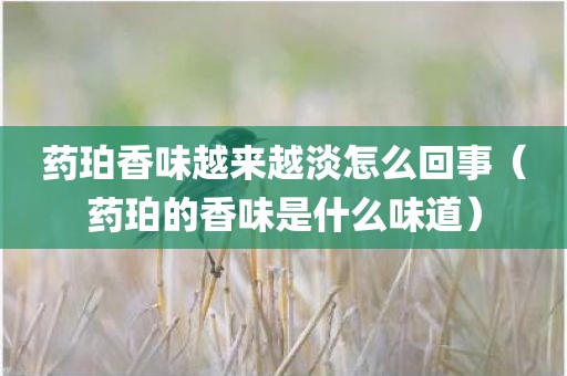 药珀香味越来越淡怎么回事(药珀的香味是什么味道)