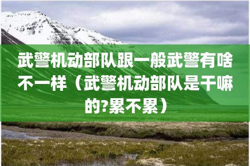 武警机动部队跟一般武警有啥不一样（武警机动部队是干嘛的?累不累）