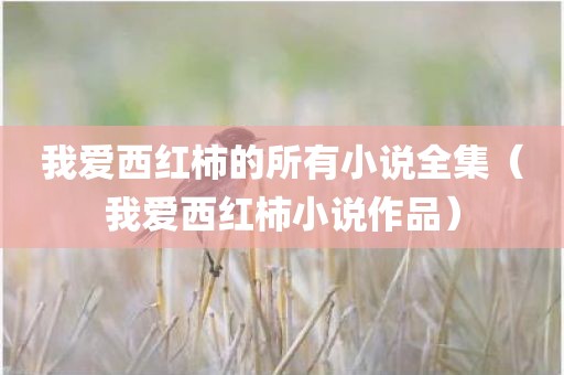 我爱西红柿的所有小说全集（我爱西红柿小说作品）