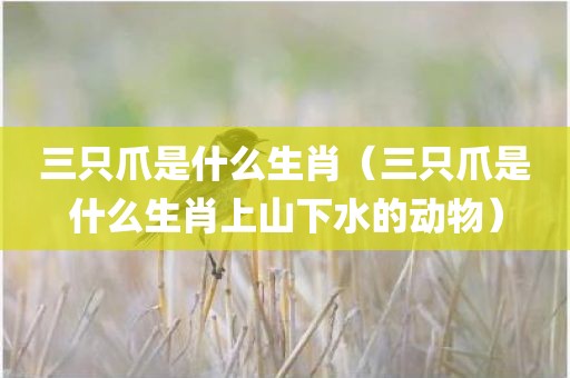 三只爪是什么生肖（三只爪是什么生肖上山下水的动物）