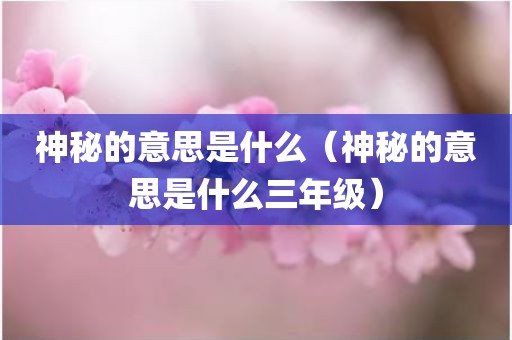 神秘的意思是什么（神秘的意思是什么三年级）
