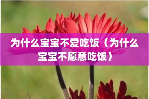 为什么宝宝不爱吃饭（为什么宝宝不愿意吃饭）