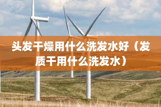 头发干燥用什么洗发水好(发质干用什么洗发水)