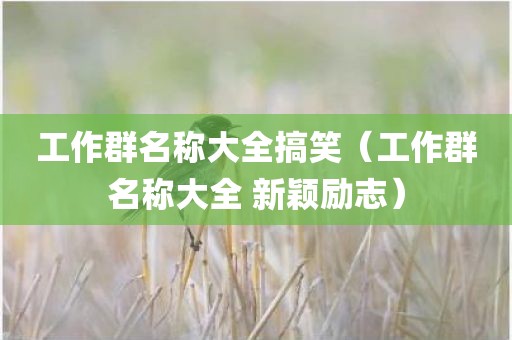工作群名称大全搞笑（工作群名称大全 新颖励志）