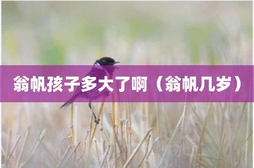 翁帆孩子多大了啊（翁帆几岁）
