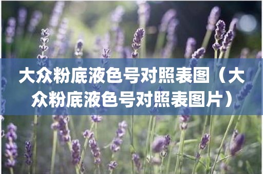 大众粉底液色号对照表图（大众粉底液色号对照表图片）
