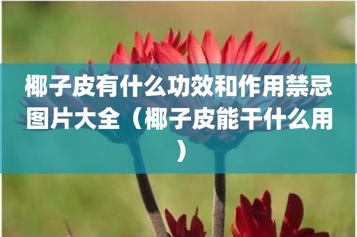 椰子皮有什么功效和作用禁忌图片大全（椰子皮能干什么用）