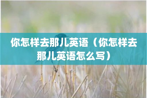 你怎样去那儿英语（你怎样去那儿英语怎么写）