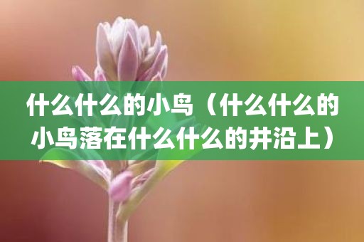 什么什么的小鸟（什么什么的小鸟落在什么什么的井沿上）