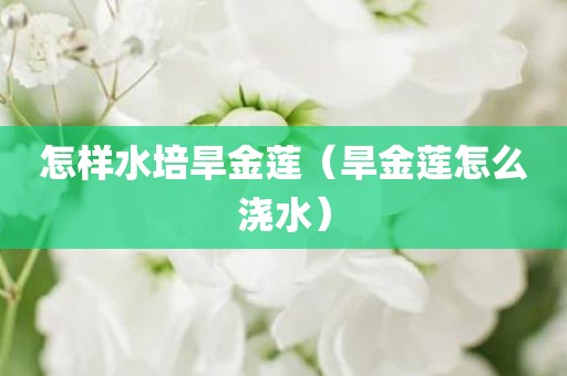 怎样水培旱金莲（旱金莲怎么浇水）